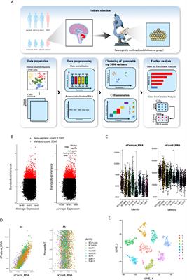 Novel Molecular Hallmarks of Group 3 Medulloblastoma by Single-Cell Transcriptomics